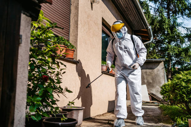 Best Local Pest Control Services  in Turners Falls, MA