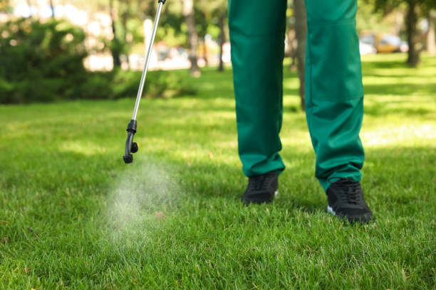 Best Emergency Pest Control  in Turners Falls, MA