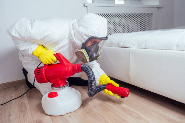 Best Exterminator Services  in Turners Falls, MA