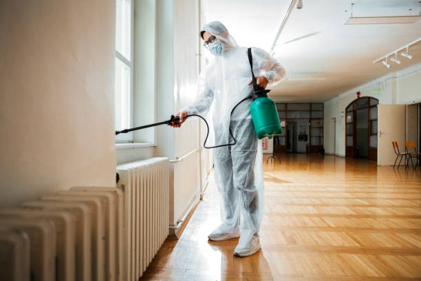 Wasp Removal Services in Turners Falls, MA